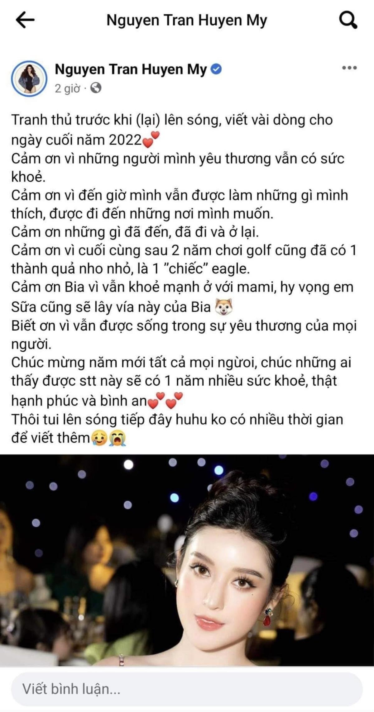 Sao Việt tổng kết năm cũ, chào năm mới: Người hứa tử tế, người cầu bình an Ảnh 14