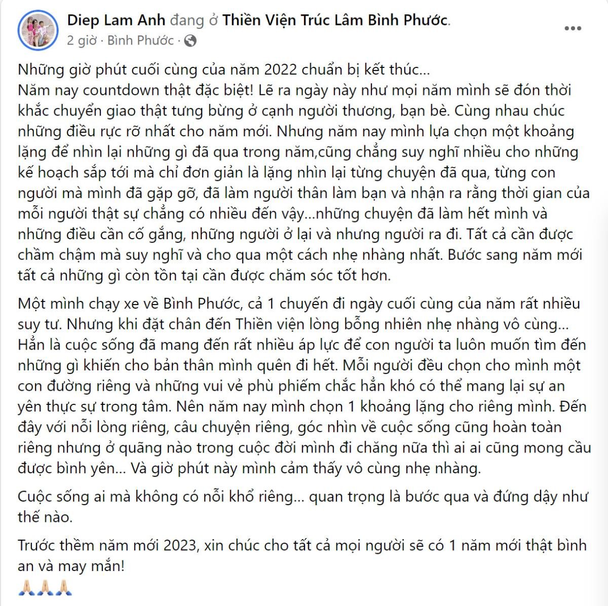 Sao Việt tổng kết năm cũ, chào năm mới: Người hứa tử tế, người cầu bình an Ảnh 10