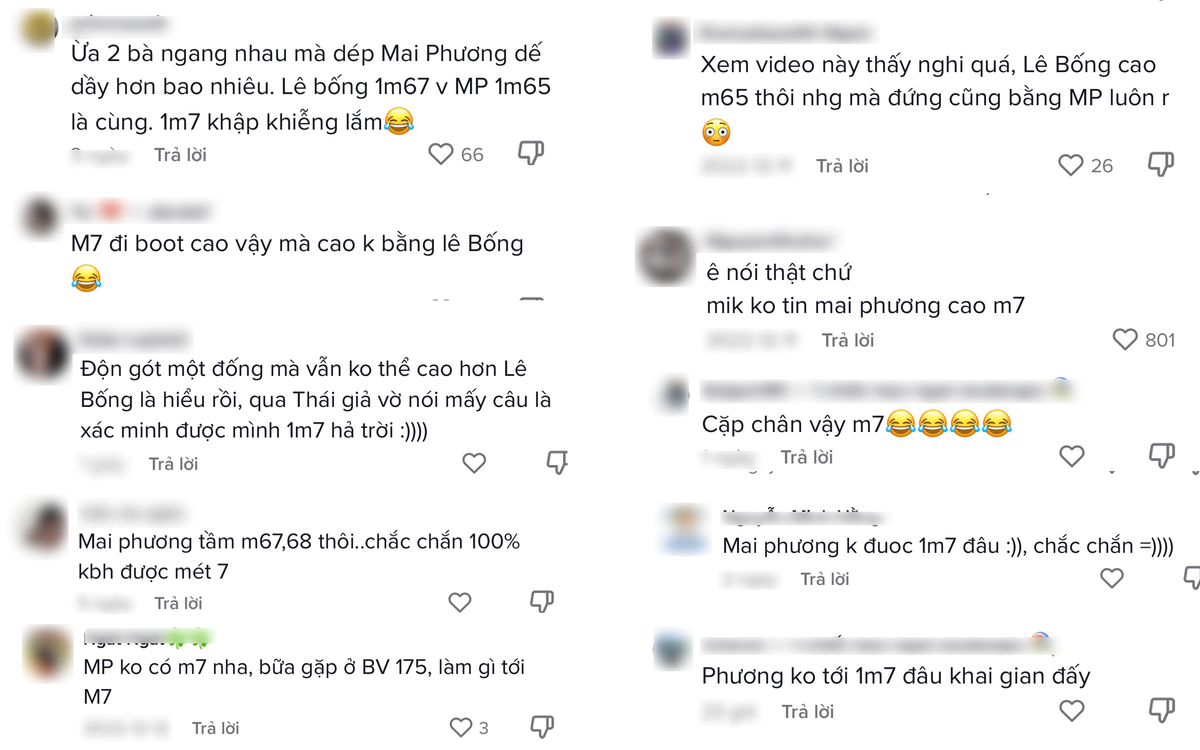 Mai Phương đứng bằng TikToker Lê Bống cao 1m67, nghi vấn hoa hậu khai gian chiều cao? Ảnh 3