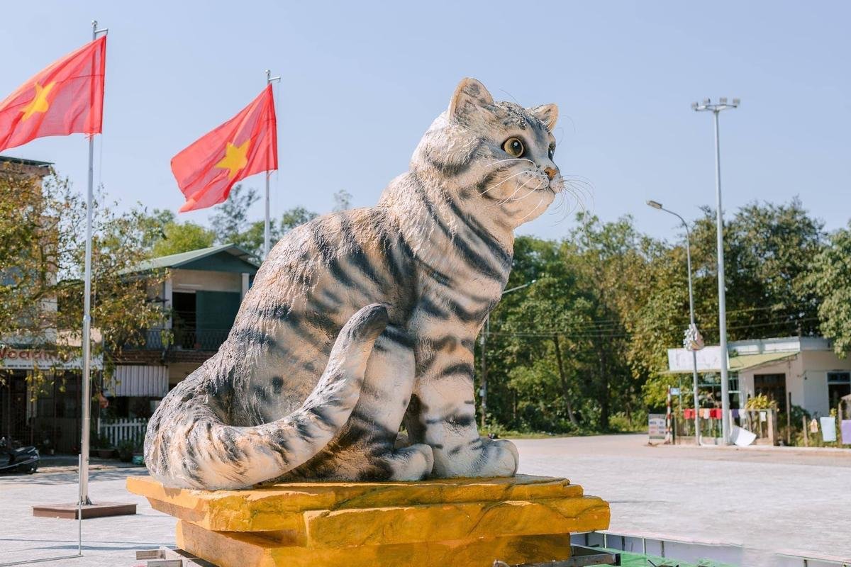 Cận cảnh linh vật mèo ở Quảng Trị gây sốt MXH khiến dân tình cảm thán: 'Hoa hậu mèo' đây rồi! Ảnh 3