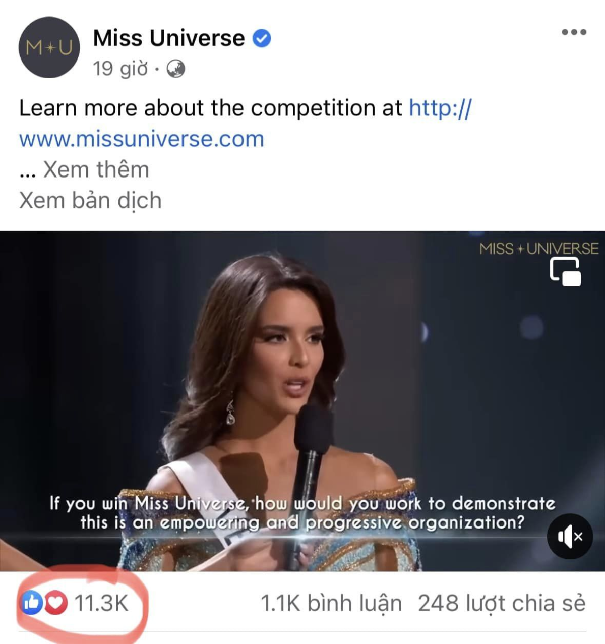 Miss Universe nhận về nhiều tranh cãi dù đã đăng quang, bị so sánh không bằng Á hậu 1 Ảnh 4