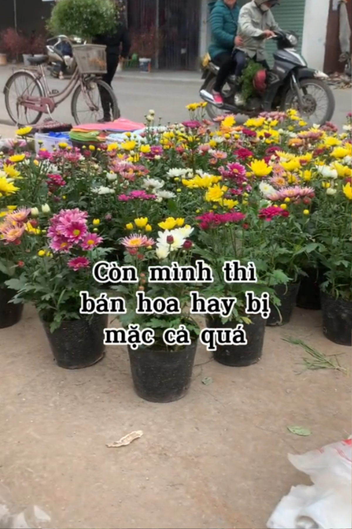 Hoa Tết bị ép giá, cuối ngày chàng trai mang hết đến nơi an nghỉ cho các cụ Ảnh 1