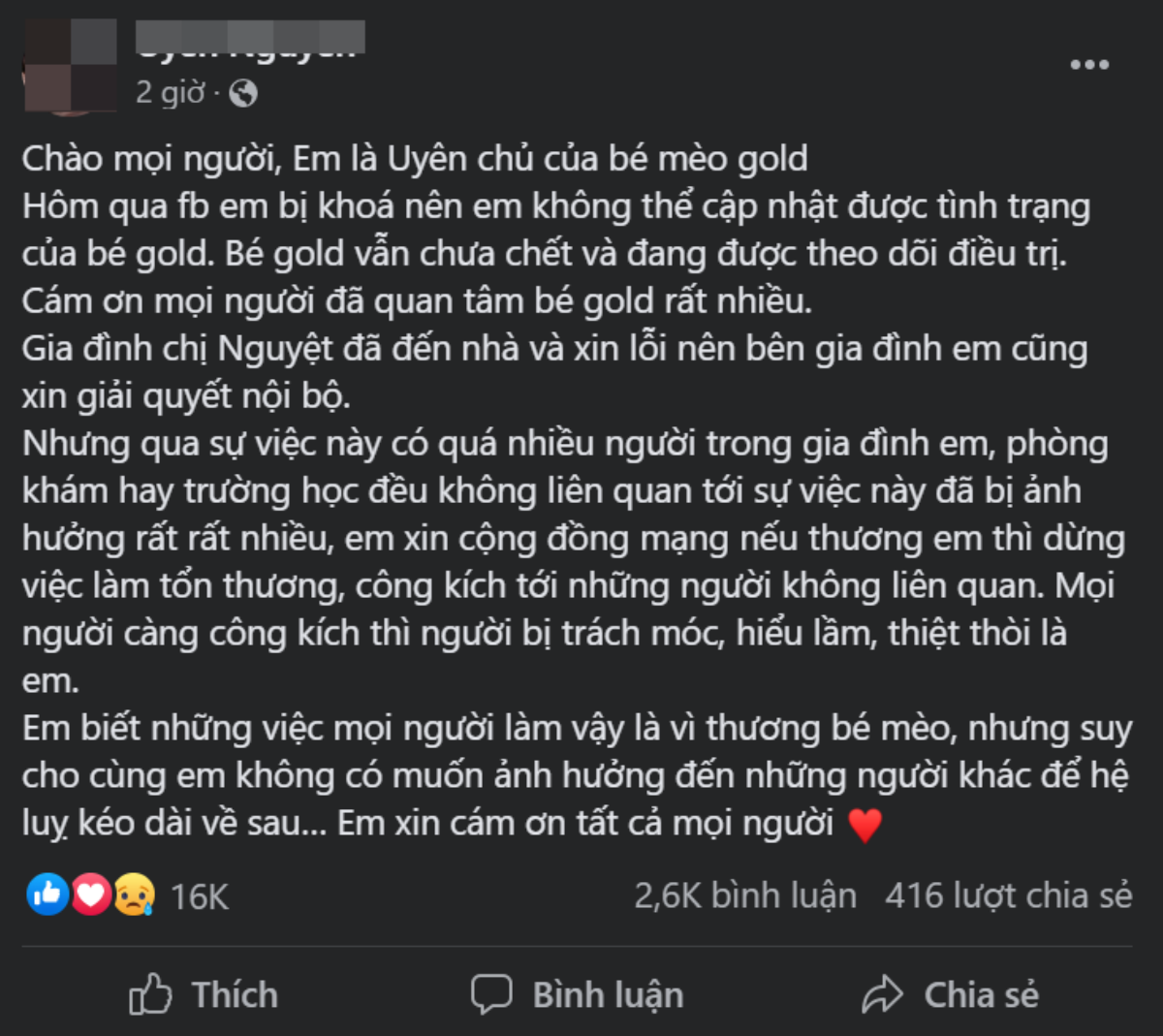 Hình ảnh mới nhất của chú mèo Golden bị 2 đứa trẻ giẫm đạp, chủ nhân tiết lộ thông tin bất ngờ Ảnh 2