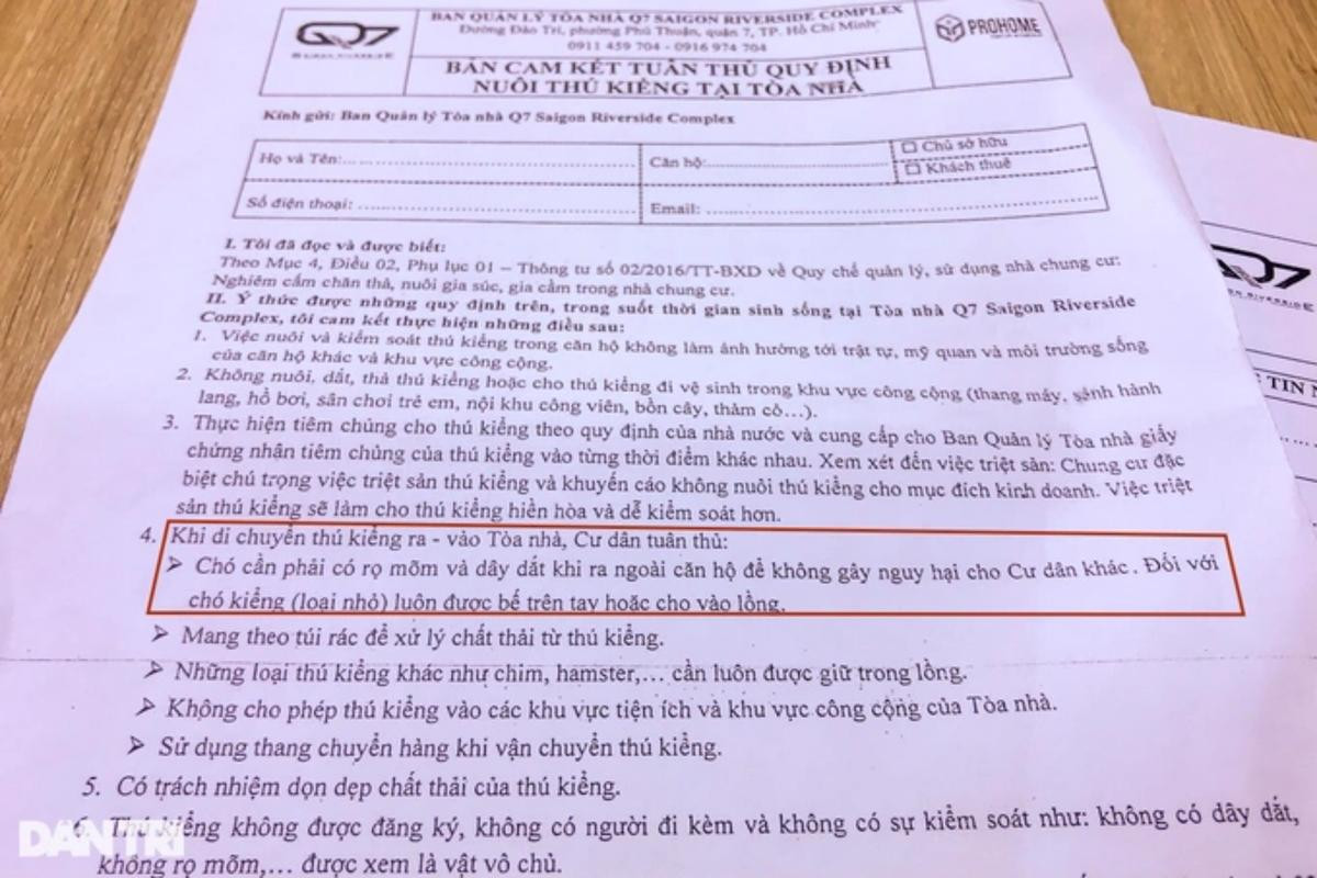 Vụ cha bị đánh nhập viện vì bảo vệ con khỏi chó thả rông: Chủ chó phớt lờ quy định về nuôi thú ở chung cư Ảnh 2