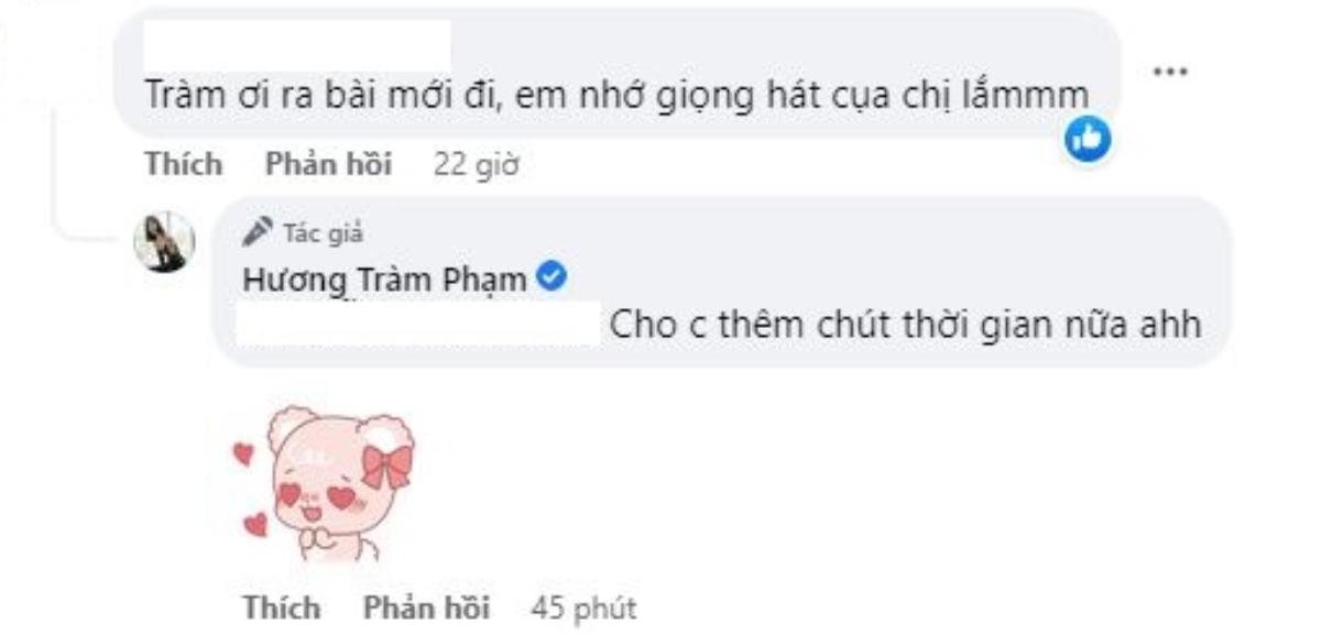 Hương Tràm chuẩn bị 'tái xuất' sau nhiều năm ở ẩn? Ảnh 2