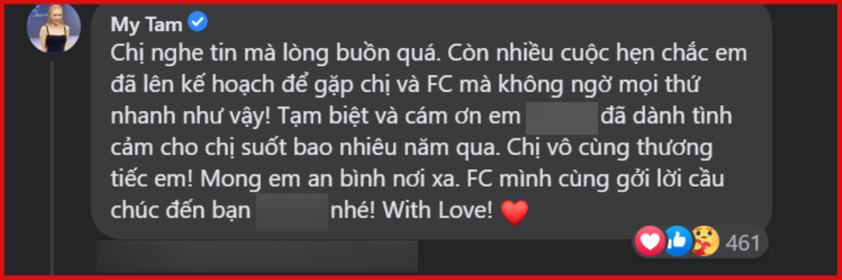 Nghe tin 1 fan lâu năm ra đi mãi mãi, Mỹ Tâm trực tiếp để lại lời nhắn khiến ai cũng nghẹn lòng Ảnh 2