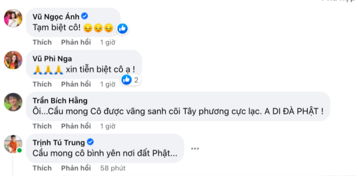 NSƯT Trịnh Kim Chi và nhiều sao Việt gửi lời chia buồn khi hay tin nghệ sĩ Thiên Kim qua đời Ảnh 4