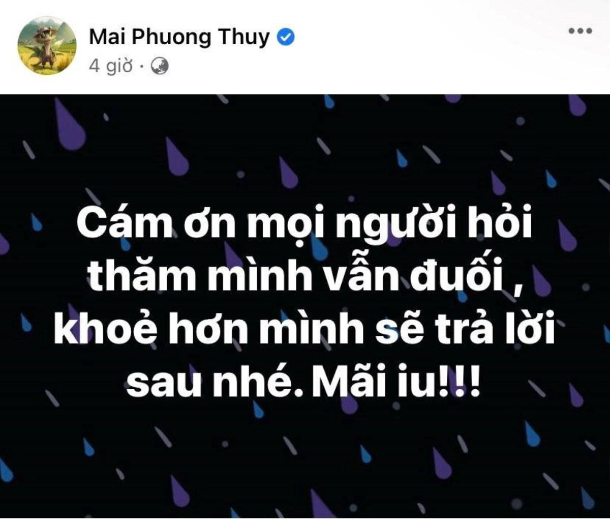 Mai Phương Thuý lên tiếng sau khi gặp 'sự cố' sức khoẻ trong đêm Ảnh 2