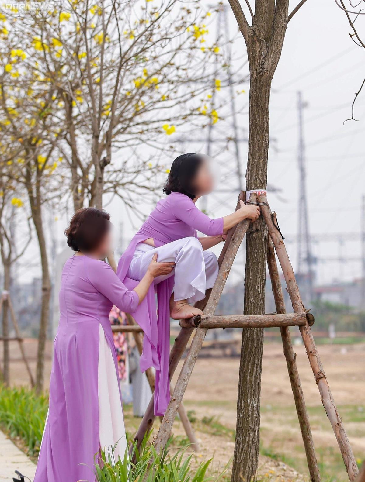 Xôn xao hình ảnh nhiều du khách trèo lên cây hoa phong linh chụp ảnh, tạo ra cảnh tượng ngán ngẩm Ảnh 1