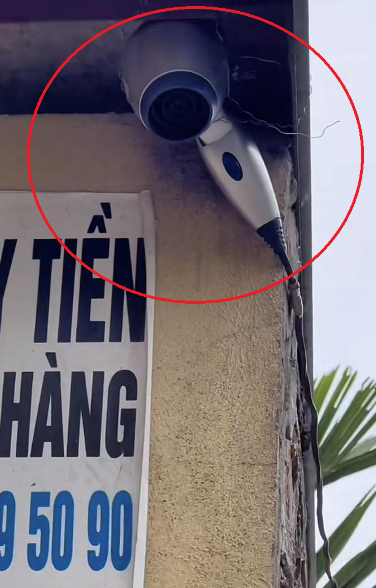 Chiếc camera theo dõi người vứt rác bừa bãi khiến dân mạng cười ngất: Camera này chỉ làm khô tóc thôi! Ảnh 2