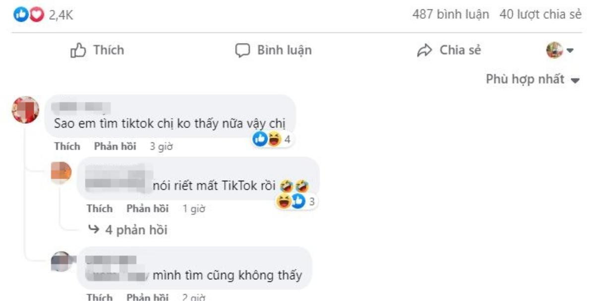 Một Hoa hậu nổi tiếng 'bay màu' kênh TikTok có tick xanh nghi do liên tục nhắc đến lùm xùm Bà Nhân Vlog Ảnh 3