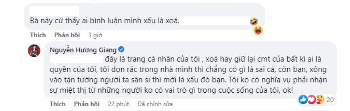 Hương Giang nói về bình luận từ anti-fan: 'Không có nghĩa vụ phải nhận sự miệt thị' Ảnh 2