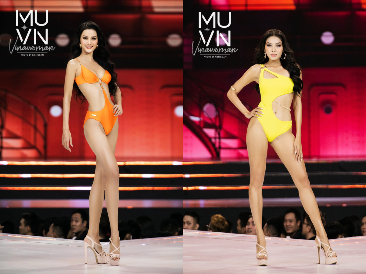 Rộ tin Hương Ly tranh suất thi Miss Universe với Thảo Nhi Lê, dân mạng phản ứng gay gắt Ảnh 2