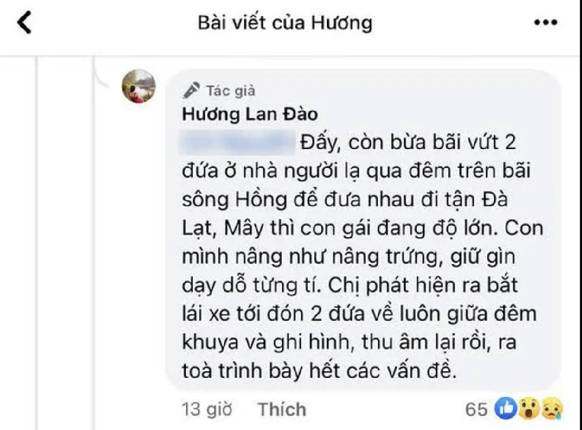 Vợ Shark Bình tố chồng 'vứt' hai con ở nhà người lạ, vui vẻ đi Đà Lạt cùng nhân tình Ảnh 1