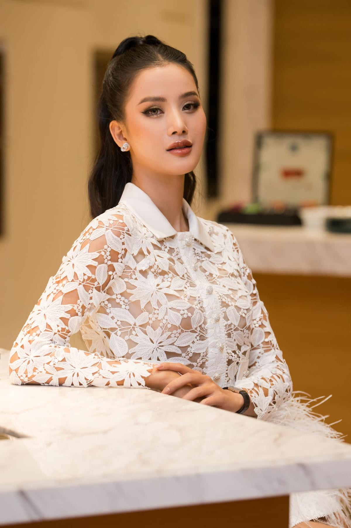 Vì sao Hương Ly nên thi Miss Universe 2023? Ảnh 6