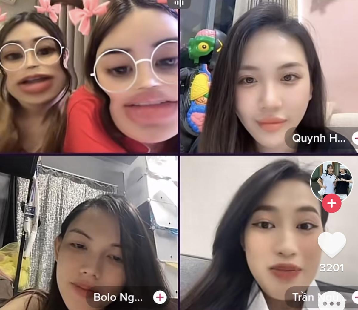 Bùi Quỳnh Hoa livestream 'cười chê' thí sinh đội mình sau bán kết Hoa hậu Chuyển giới VN Ảnh 2