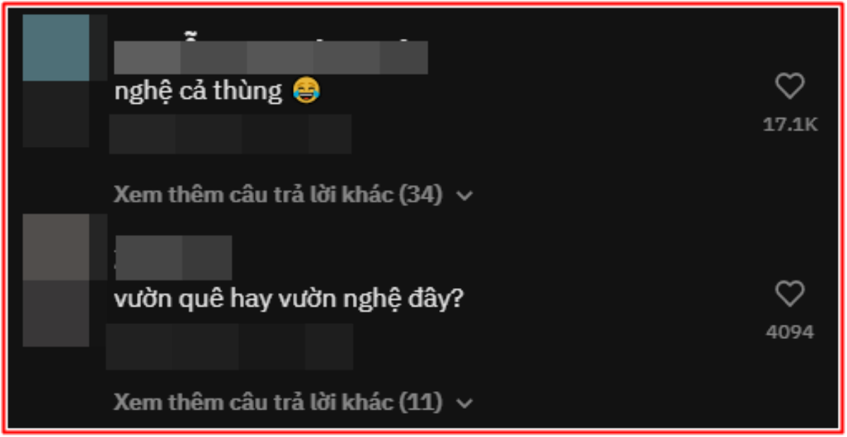 Chỉ với 1 câu hát, nghệ sĩ Hồng Nga bỗng dưng phủ sóng mạng xã hội với hàng triệu lượt xem Ảnh 4