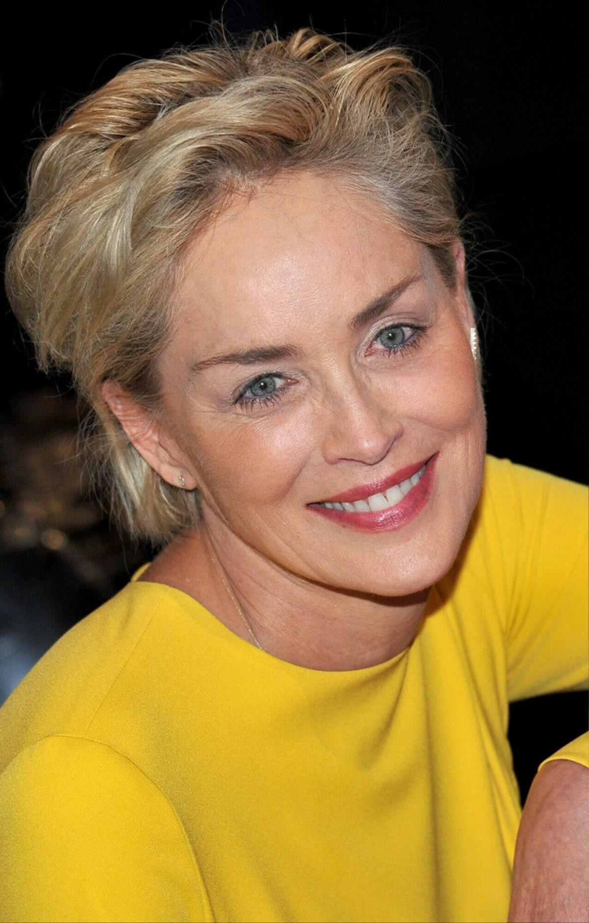 Bí quyết làm đẹp của U70 Sharon Stone: 'Tôi không theo đuổi vẻ đẹp không tuổi' Ảnh 5