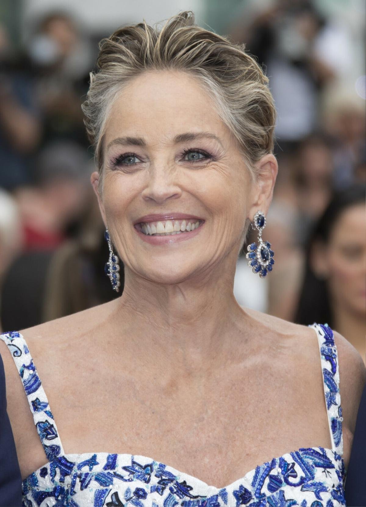 Bí quyết làm đẹp của U70 Sharon Stone: 'Tôi không theo đuổi vẻ đẹp không tuổi' Ảnh 6