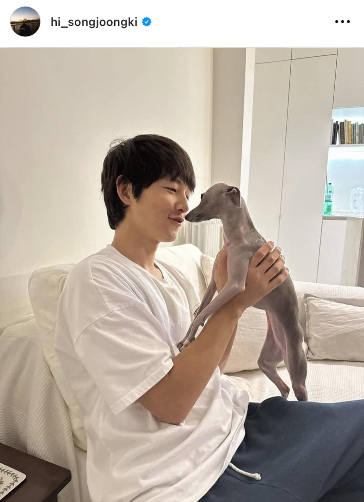 Song Joong Ki đáp trả khi bị chê nhan sắc thảm họa, để lộ 1 chi tiết gây sốc liên quan đến vợ ngoại quốc Ảnh 3