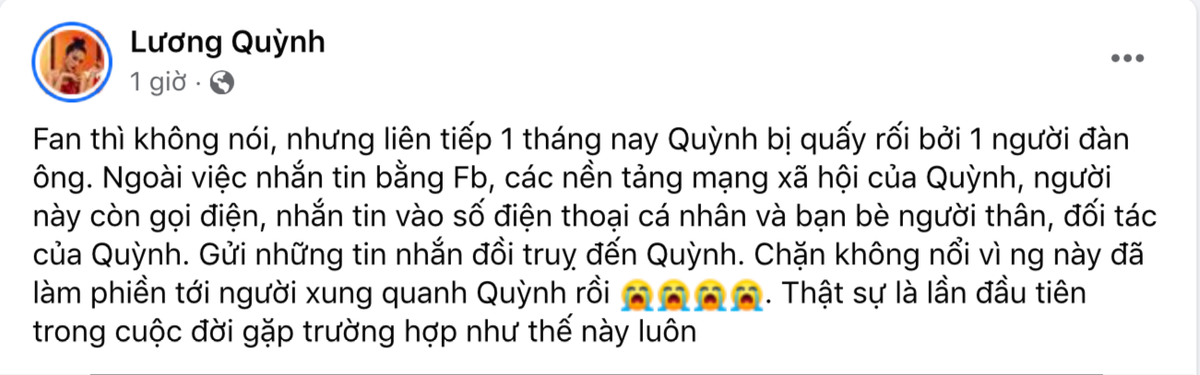 Diễn viên Quỳnh Lương bức xúc vì bị kẻ lạ quấy rối, gửi tin nhắn đồi truỵ Ảnh 1