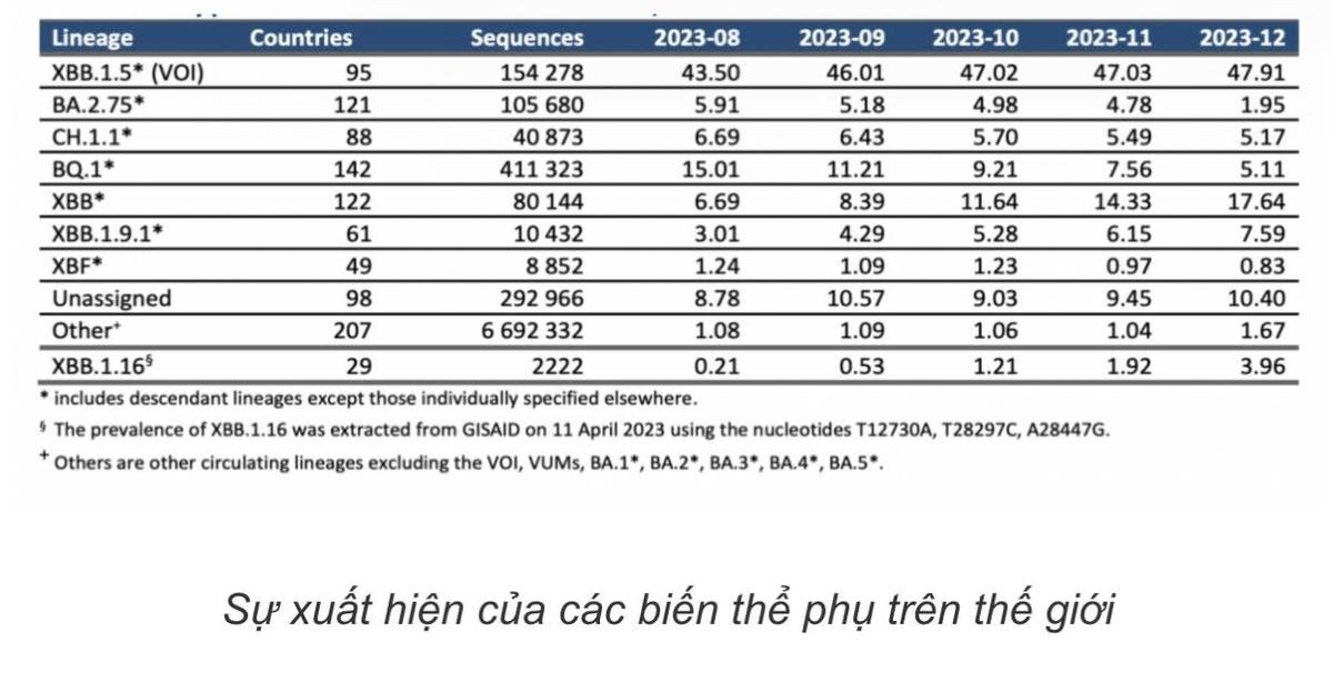 TP.HCM: Phát hiện thêm nhiều biến thể phụ mới của Omicron Ảnh 1