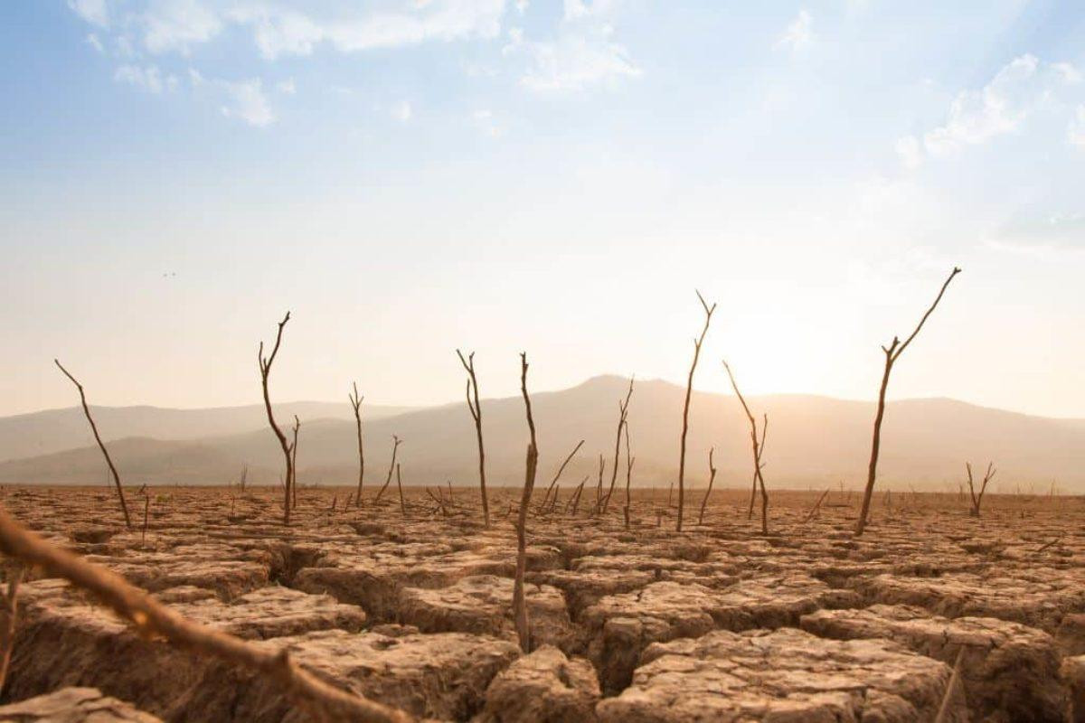 El Nino sắp quay trở lại, thế giới đối mặt với nắng nóng kỷ lục trong năm 2023 Ảnh 1