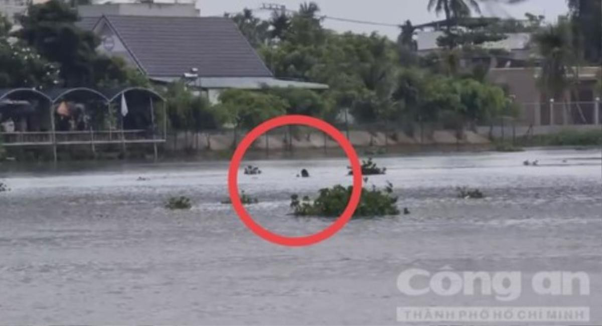 Thanh niên quay cảnh tìm kiếm một người nhảy cầu, vô tình quay được cảnh cô gái... cũng nhảy cầu Ảnh 1