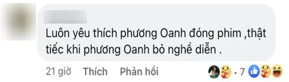 Phương Oanh hậu công khai hẹn hò Shark Bình: Sự nghiệp 'sa sút', chuyện đôi co với anti-fan 'như cơm bữa' Ảnh 8