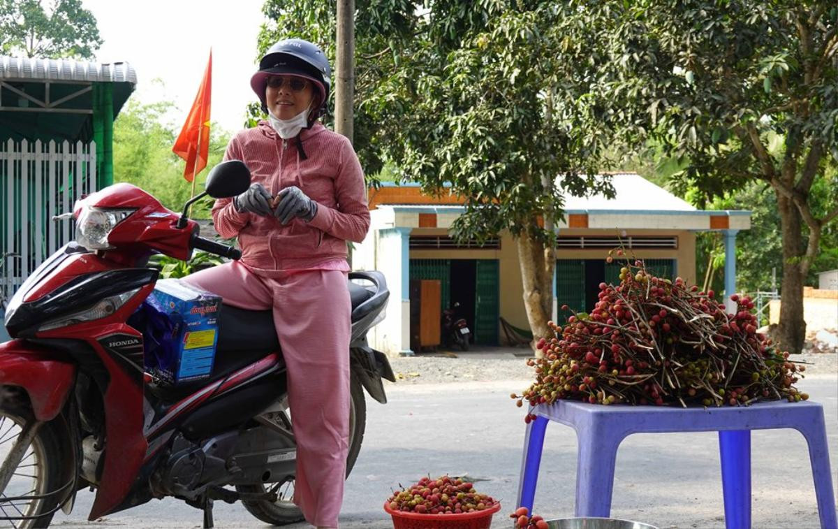 Về Tri Tôn (An Giang), thưởng thức vị chua ngọt của vải rừng Ảnh 3