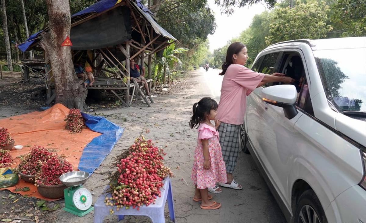 Về Tri Tôn (An Giang), thưởng thức vị chua ngọt của vải rừng Ảnh 12