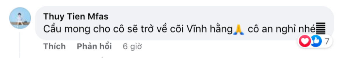 Ca sĩ Đan Trường thông báo tin tang sự, Đàm Vĩnh Hưng và nhiều nghệ sĩ Việt gửi lời chia buồn Ảnh 4