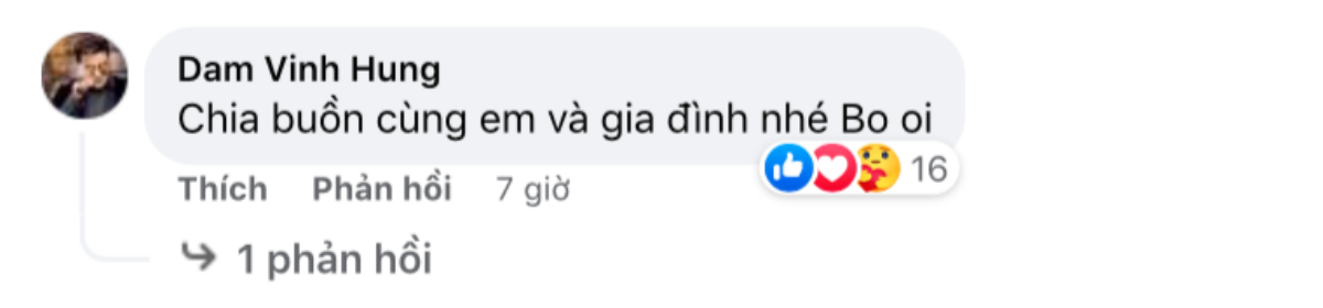 Ca sĩ Đan Trường thông báo tin tang sự, Đàm Vĩnh Hưng và nhiều nghệ sĩ Việt gửi lời chia buồn Ảnh 3