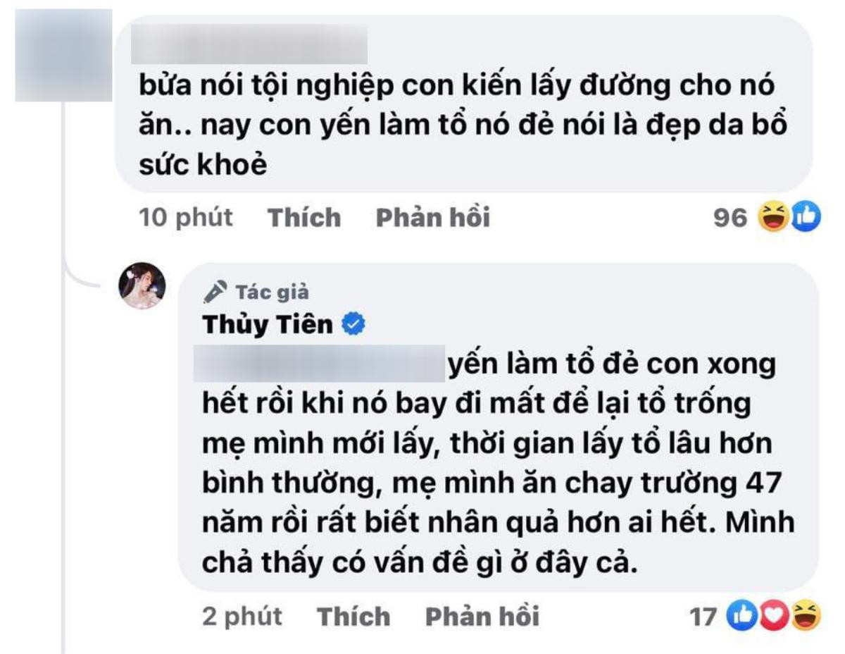 Bị 'mỉa mai' chuyện bất đồng trong lời nói, Thủy Tiên đáp trả thế nào? Ảnh 3