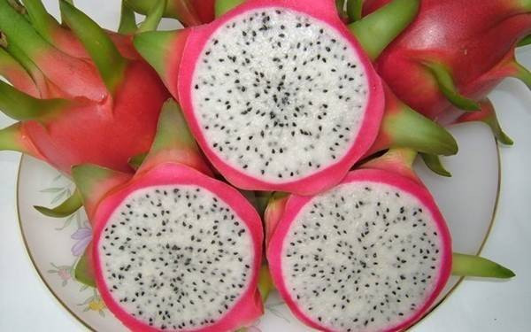 Rau quả rớt giá thê thảm, chôm chôm chỉ 2.000 đồng/kg Ảnh 2