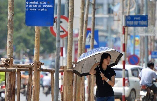 Thủ tướng: 'Thông tin lại đầy đủ về đề án thay thế cây xanh' Ảnh 2