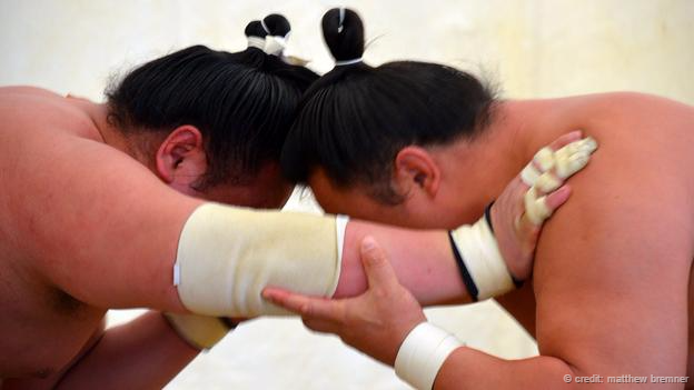 Sự khổ luyện của võ sĩ sumo Ảnh 2