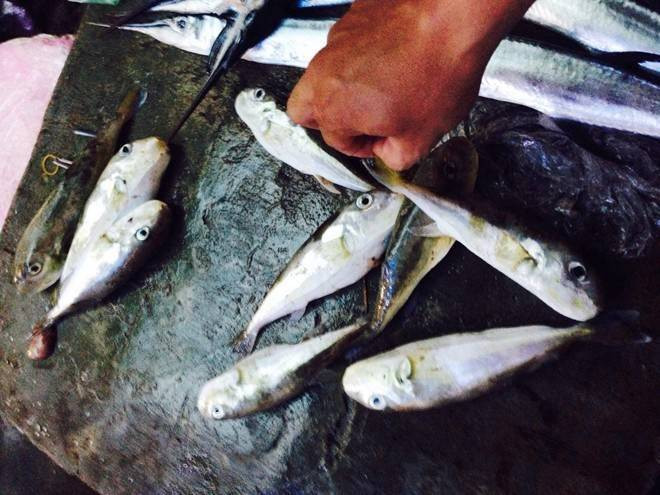 Chợ cá 'tử thần' bên phá Tam Giang Ảnh 2