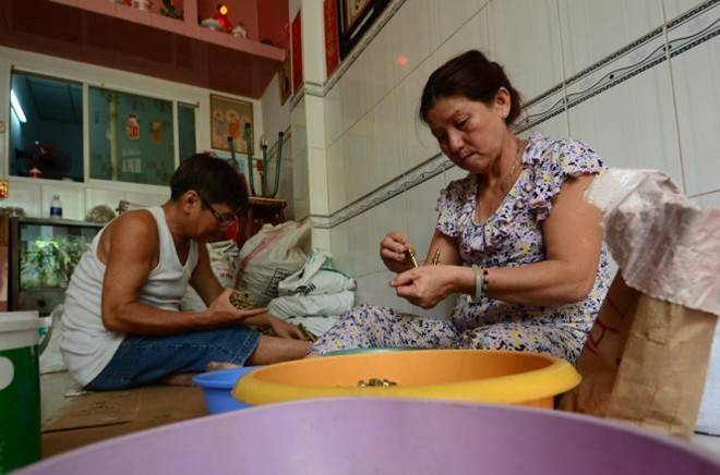 Nuôi con cho người dưng đi tù Ảnh 2