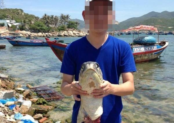 Khách du lịch phẫn nộ trước hình ảnh rùa khủng bị giết dã man ở đảo Bình  Hưng Ảnh 2