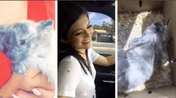 ‘Ngán tận cổ’ nhà Kardashians, MC bỏ ngang buổi truyền hình trực tiếp Ảnh 2