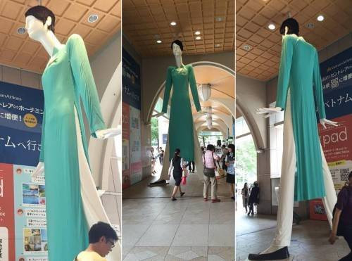 'Người Việt xin hãy thôi tự vả vào mặt mình' Ảnh 2