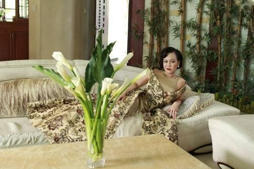 'Uyển Uyển' Việt Hương: “Chị có tiền là chị có tất cả” Ảnh 2