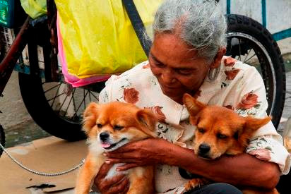 Cụ bà 17 năm nhặt ve chai, ngủ vỉa hè cùng 2 chú chó Ảnh 2