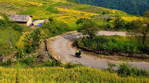 Trọn một cung đường thưởng ngoạn mùa vàng Lào Cai Ảnh 2