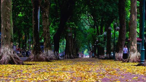 Hà Nội đẹp xiêu lòng trong mùa lá rụng Ảnh 2