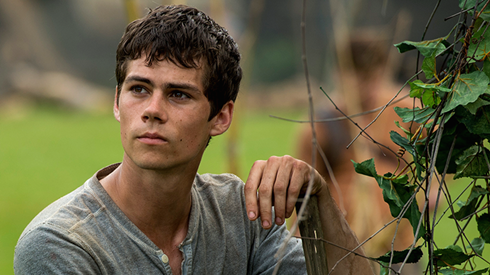 Những ngôi sao tự thực hiện những cảnh quay nguy hiểm Ảnh 2