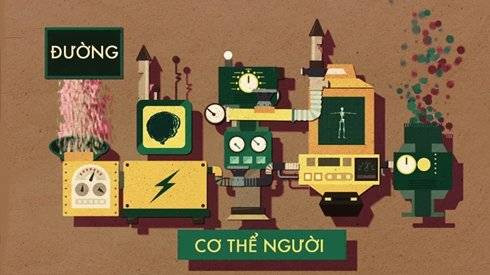 Đường tác động đến não bộ như thế nào? Ảnh 2