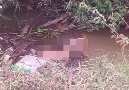 Lão nông 67 tuổi gây án tàn độc với cháu vợ ở Bắc Giang Ảnh 2