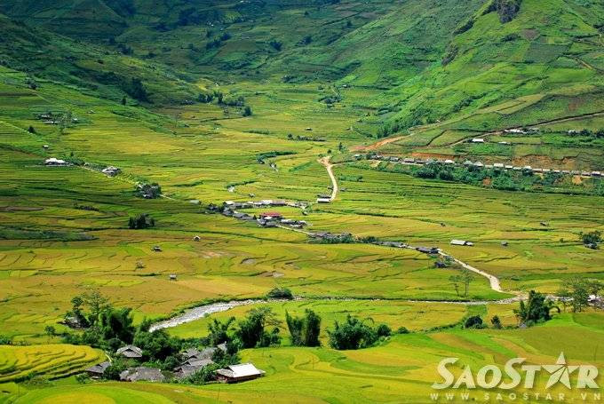 Mu cang chai -3